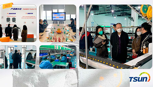 The Power Play: How Microinverters Beat DC Optimizers in Solar Systems